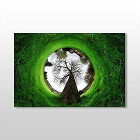 Technopa Küre Çimenlik 105x70 cm Kanvas Tablo