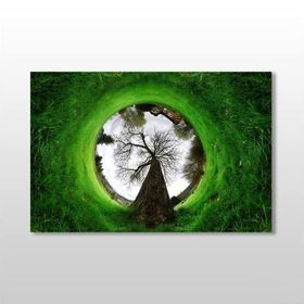 Technopa Küre Çimenlik 120x80 cm Kanvas Tablo