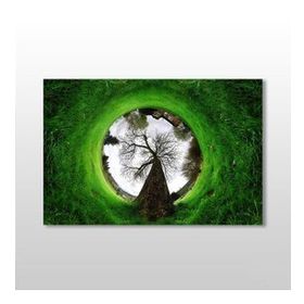 Technopa Küre Çimenlik 150x100 cm Kanvas Tablo