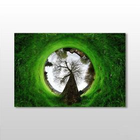 Technopa Küre Çimenlik 60x40 cm Kanvas Tablo