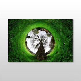 Technopa Küre Çimenlik 75x50 cm Kanvas Tablo
