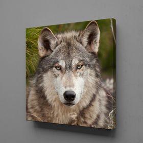 Technopa Kurt 80x80 cm Kanvas Tablo