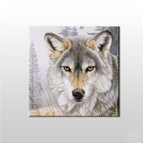 Technopa Kurt Bakışı 50x50 cm Kanvas Tablo