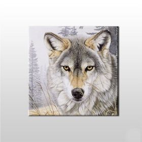 Technopa Kurt Bakışı 60x60 cm Kanvas Tablo