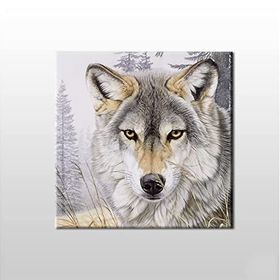 Technopa Kurt Bakışı 60x60 cm Kanvas Tablo