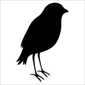 Technopa Kuş 130 cm Folyo Duvar Stickerı