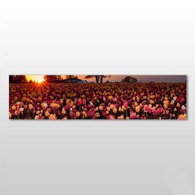 Technopa Laleler 60x20 cm Kanvas Tablo