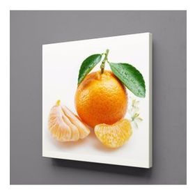 Technopa Mandalina 120x120 cm Kanvas Tablo