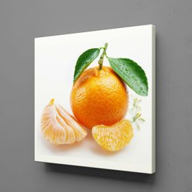 Technopa Mandalina 130x130 cm Kanvas Tablo