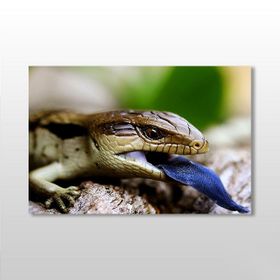 Technopa Mavi Dilli Kertenkele 120x80 cm Kanvas Tablo
