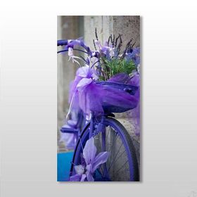 Technopa Mor Bisiklet 20x30 cm Kanvas Tablo