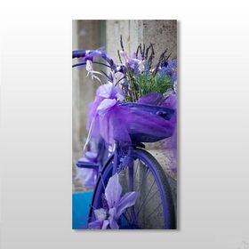 Technopa Mor Bisiklet 20x30 cm Kanvas Tablo