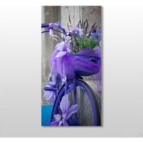 Technopa Mor Bisiklet 70x105 cm Kanvas Tablo
