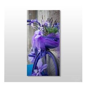 Technopa Mor Bisiklet 70x105 cm Kanvas Tablo