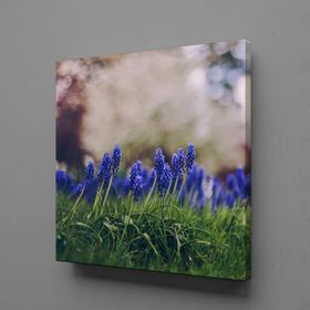 Technopa Mor Çiçek Tarlası 30x30 cm Kanvas Tablo