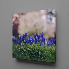 Technopa Mor Çiçek Tarlası 30x30 cm Kanvas Tablo
