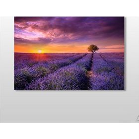Technopa Mor Çiçekli Tarla 120x80 cm Kanvas Tablo
