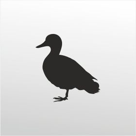 Technopa Ördek 70 cm Folyo Duvar Stickerı