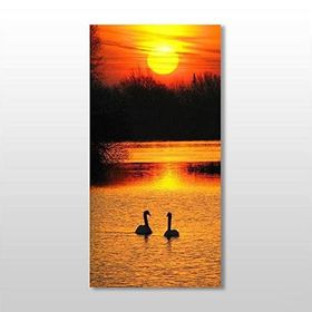 Technopa Ördek ve Gün Batımı 110x165 cm Kanvas Tablo