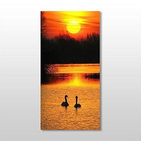 Technopa Ördek ve Gün Batımı 140x210 cm Kanvas Tablo