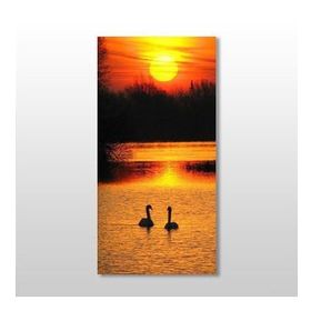 Technopa Ördek ve Gün Batımı 20x30 cm Kanvas Tablo