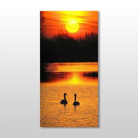 Technopa Ördek ve Gün Batımı 60x90 cm Kanvas Tablo