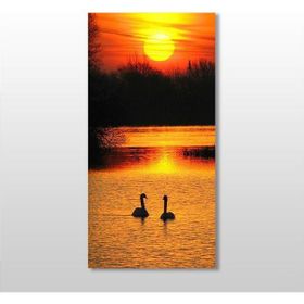 Technopa Ördek ve Gün Batımı 90x135 cm Kanvas Tablo