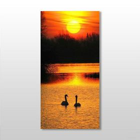 Technopa Ördek ve Gün Batımı 90x135 cm Kanvas Tablo