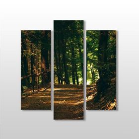 Technopa Orman 138x150 cm Kanvas Tablo