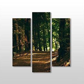 Technopa Orman 75x80 cm Kanvas Tablo