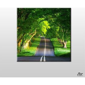 Technopa Orman Içindeki Yol 120x120 cm Kanvas Tablo