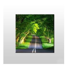 Technopa Orman Içindeki Yol 130x130 cm Kanvas Tablo