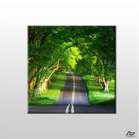 Technopa Orman Içindeki Yol 150x150 cm Kanvas Tablo