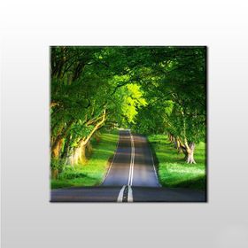 Technopa Orman Içindeki Yol 25x25 cm Kanvas Tablo
