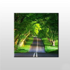 Technopa Orman Içindeki Yol 40x40 cm Kanvas Tablo
