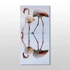 Technopa Pelikan 60x90 cm Kanvas Tablo