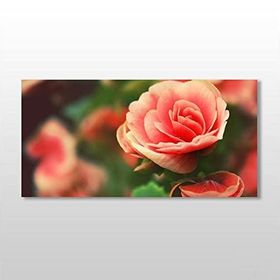 Technopa Pembe Gül 120X60 cm Kanvas Tablo
