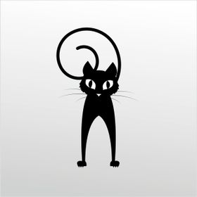 Technopa Şaşkın Kedi 20 cm Folyo Duvar Stickerı