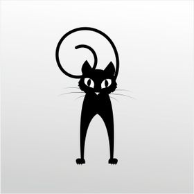 Technopa Şaşkın Kedi 200 cm Folyo Duvar Stickerı