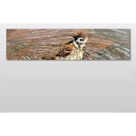 Technopa Serçe 180x60 cm Kanvas Tablo