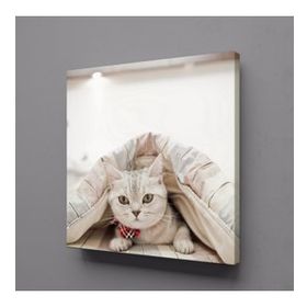 Technopa Sevimli Kedi 110x110 cm Kanvas Tablo