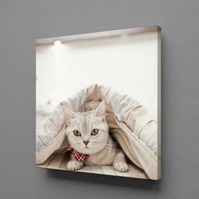 Technopa Sevimli Kedi 40x40 cm Kanvas Tablo