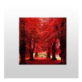 Technopa Sonbahar Ağaçlar 70x70 cm Kanvas Tablo