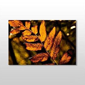 Technopa Sonbahar Yaprak 45x30 cm Kanvas Tablo