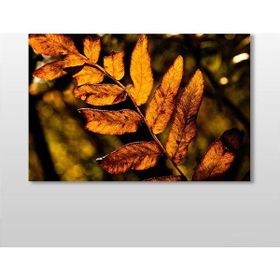Technopa Sonbahar Yaprak 75x50 cm Kanvas Tablo