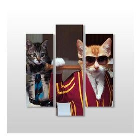 Technopa Sopalı Kedi 147x160 cm Kanvas Tablo