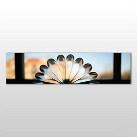 Technopa Soyut Papatya 300x100 cm Kanvas Tablo