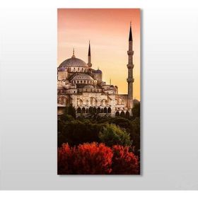 Technopa Süleymaniye Camii 40x60 cm Kanvas Tablo