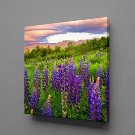Technopa Sümbül Manzarası 30x30 cm Kanvas Tablo