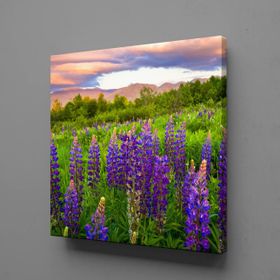 Technopa Sümbül Manzarası 60x60 cm Kanvas Tablo